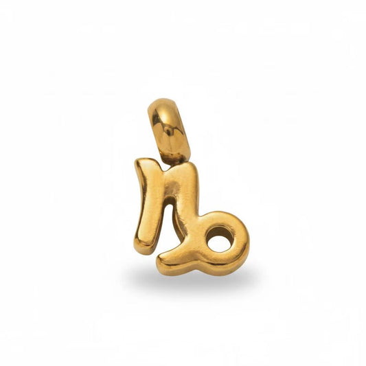 Capricorn Zodiac Sign Charm