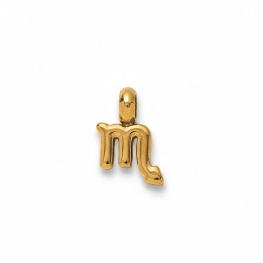 Scorpio Zodiac Sign Charm