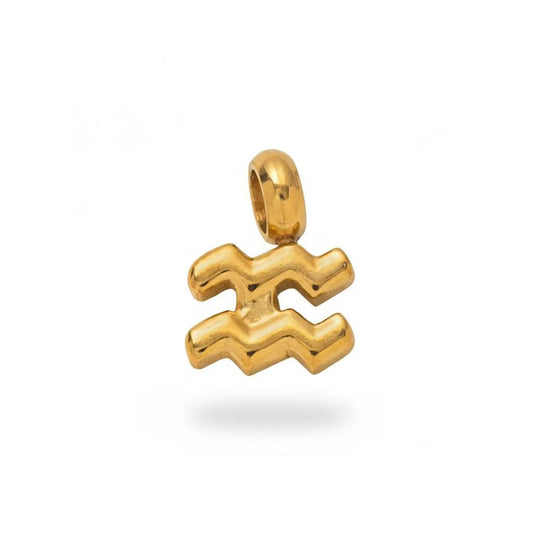 Aquarius Zodiac Sign Charm